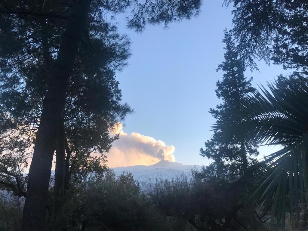 Agriturismo Sole Di Sicilia Randazzo Bagian luar foto