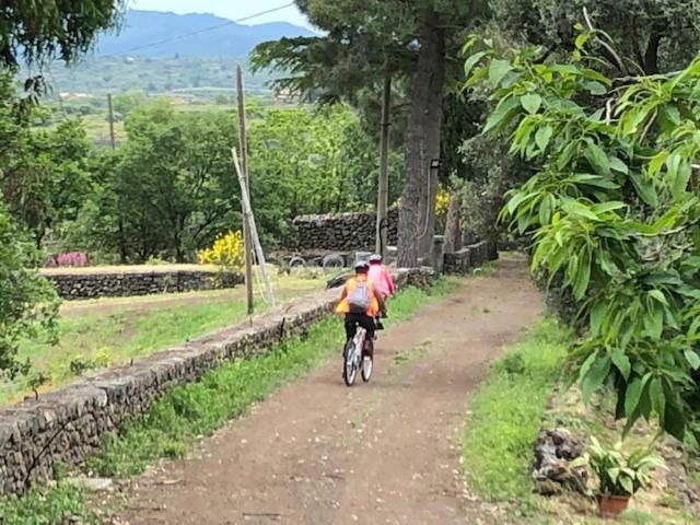 Agriturismo Sole Di Sicilia Randazzo Bagian luar foto